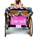 I Me Wed (2007) 1080p WEBRip AAC5 1 x264-YIFY