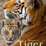 Tiger (2024) 1080p WEB HEVC x265